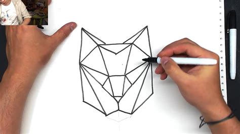 Can you find all the triangles in this simple cat drawing? It