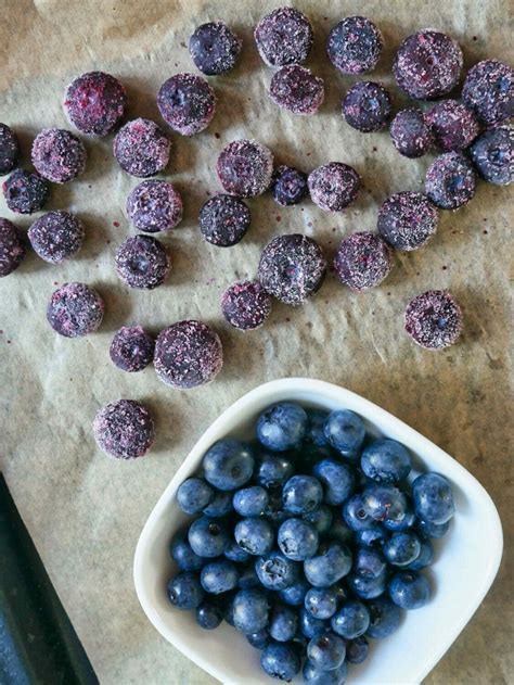 Can you freeze blueberries. Studies on blueberries and nutrition have shown that since blueberries are frozen soon after they are picked, they are equal in quality to fresh where ... 