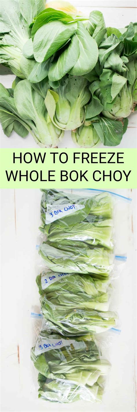 Can you freeze bok choy. Apr 19, 2022 ... You can make Stir-Fried Baby Bok Choy with Oyster Sauce and Garlic with any size bok choy you find, as long as you cut it into same-size ... 