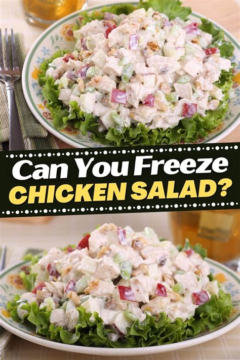 Can you freeze chicken salad. 1 In a medium bowl, stir the mayonnaise, mustard powder, paprika, dill, tarragon, parsley, chives, salt, and pepper together. 2 Next, fold in the chicken, celery, and green onion; the chicken will break up a bit as it mixes into the dressing. 3 … 