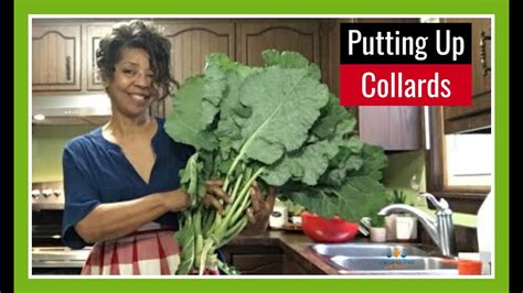 Can you freeze cooked collard greens. Yes, it is possible to freeze cooked collard greens. To do so, allow the collard greens to cool completely, then transfer them to a freezer-safe container or bag, … 