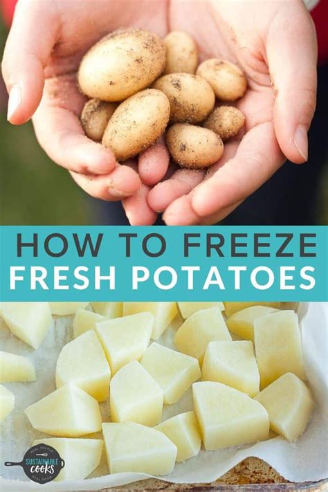 Can you freeze cooked sweet potatoes. Recreating this gooey, sugar-oozing sweet potato is simple, and from his home kitchen, Sin shared the process to Instagram: Scrub a few small sweet potatoes of any variety, and put them into the ... 