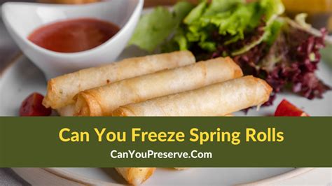 Can you freeze fried spring rolls? - I