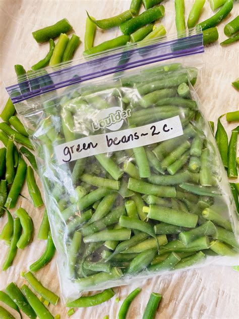 Can you freeze green beans. Apr 22, 2020 ... To freeze your green beans, you first need to blanch them. Blanching is done by briefly cooking the food in boiling water and then immersing in ... 