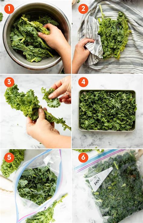 Can you freeze kale. 4. Chill and freeze the kale. Immediately transfer the kale to the ice bath and give it a swish to cool it, then drain and dry it thoroughly. To freeze the kale, you can either pack it in a container or zip-top bag right away and transfer it to the freezer, or portion it into small mounds on a baking sheet, freeze it for an hour and then pack it away in a … 