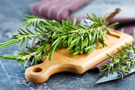 Can you freeze rosemary. 