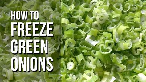 Can you freeze scallions. For dehydrated green onions, allow the onions to cool for 30-60 minutes. Then package it in an air-tight container. For freeze-dried green onions, package the onions immediately in an air-tight container. Once dried, the scallions will reabsorb moisture from the air, so do not leave the green onions out for more than an hour. 