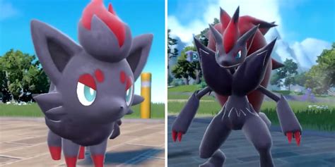 Can you get Hisuian Zorua and Zoroark in Pokemon Scarlet and Violet