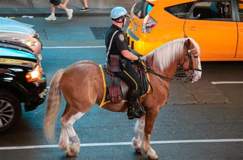Can you get a DUI for riding a horse while drunk?
