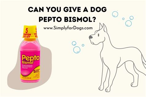 Dec 13, 2021 · But Pepto-Bismol isn’t safe for dogs. It may work well in humans for the occasional upset stomach, heartburn, nausea or diarrhea … but, for your dog, there are much safer options that are just as effective. First, here’s some background on Pepto Bismol. Then we’ll give you 9 reasons why you should never give Pepto Bismol to your dog. . Can you give a puppy pepto bismol