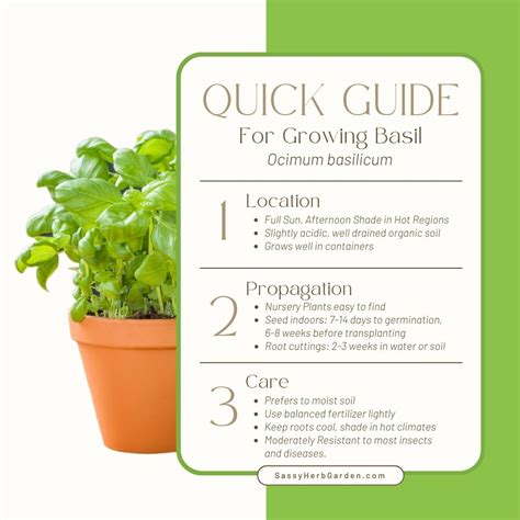 Can you grow basil from a clipping.  Learn how to keep your favorite bas...