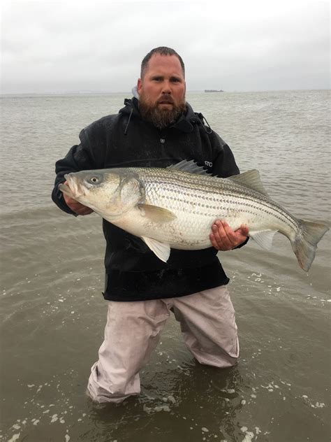 Can you keep striper in the Delaware River? [Expert Review!]