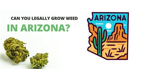 Can you legally grow weed in Arizona in 2024? - a Pot for …