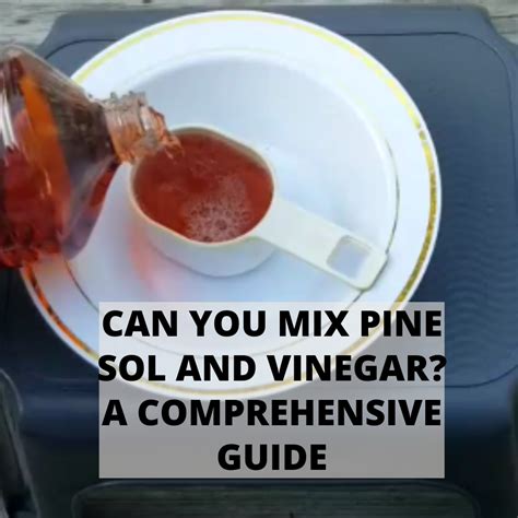 Can you mix Pine-Sol and vinegar and baking soda?