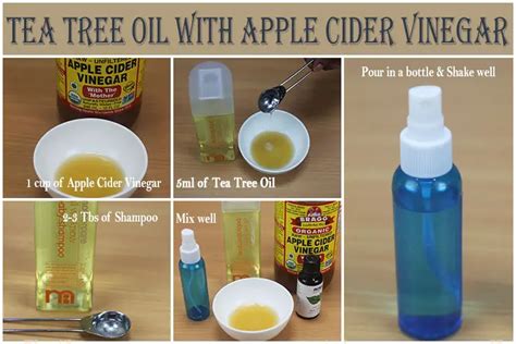 Can you mix vinegar and tea tree oil for mold? - Liquid Image