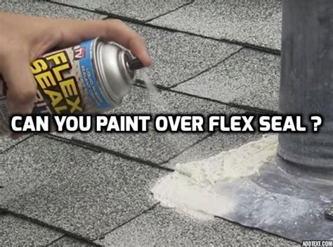 Can you paint over Flex Seal after it dries? - emojicut.com