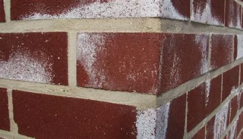 Can you paint over efflorescence.  Learn effective techniques and best practices for...