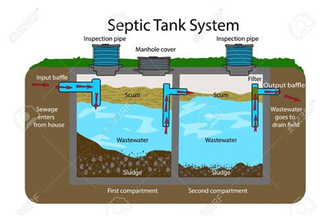 Can you put yeast in septic tank? - From Hunger To Hope