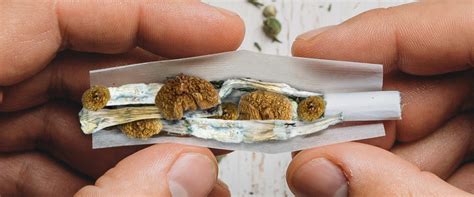 Can you smoke weed while on shrooms. Things To Know About Can you smoke weed while on shrooms. 