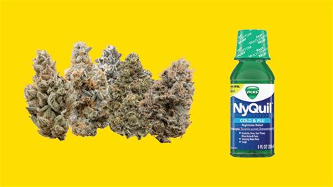 Can you smoke weed with nyquil. Jul 23, 2022 · Alcohol is considered a depressant. A stimulant can make a person feel more alert or awake. But a depressant can have the opposite effect on the body, reducing mood or alertness. If you drink ... 