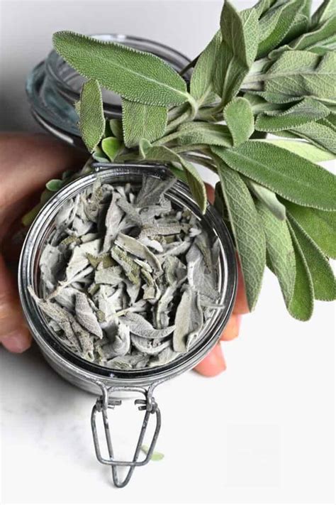 Can you substitute rubbed sage for dried sage leaves?