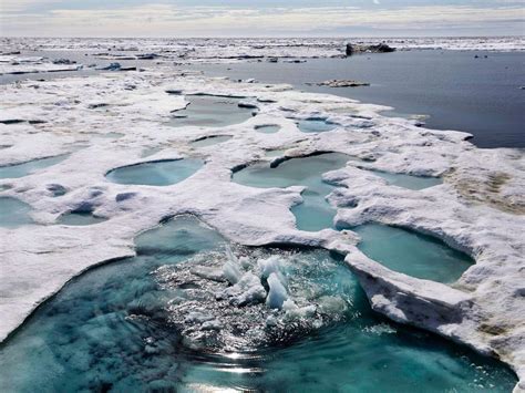 Canada pledges to work with U.S. over competing claims to Arctic sea floor