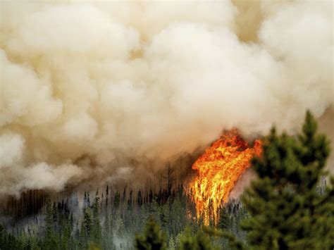 Canada sees 100,000 square kilometres burned this record-breaking wildfire season