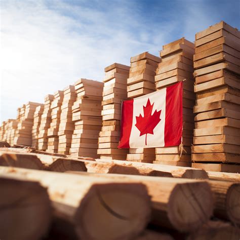 Canada to challenge U.S. softwood lumber duties under Canada …