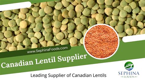 Canadian Lentil Supplier