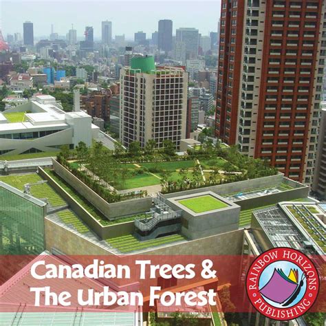 Canadian Trees The Urban Forest