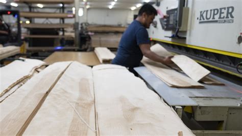 Canadian plywood makers seek duties as cheap Chinese rivals carve out half the market