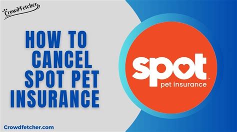 Cancel Spot Pet Insurance