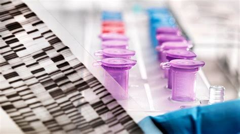 Cancer Screening Tests That May Help Detect Cancer Earlier Everyday Health