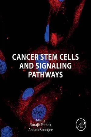 Cancer Stem Cells and Signaling Pathways
