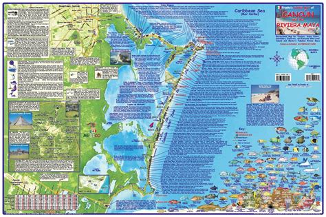 Read Online Cancun  Riviera Maya Mexico Adventure  Dive Map Laminated Poster By Franko Maps By Franko Maps Ltd