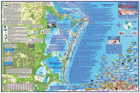 Read Online Cancun  Riviera Maya Mexico Adventure  Dive Map Laminated Poster By Franko Maps By Franko Maps Ltd