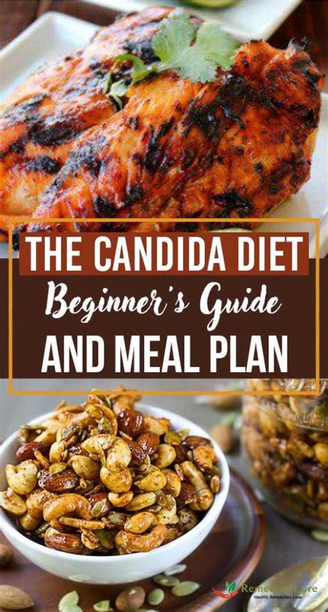 Candida diet for beginner s guide secrets on how to. - Bedienungsanleitung leica flexline ts 06 plus.