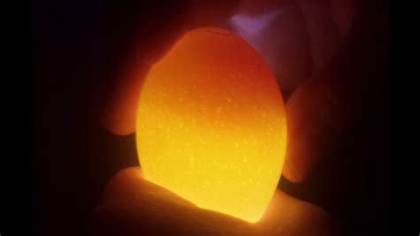 Candling a Chick Egg at Day 11 - YouTube