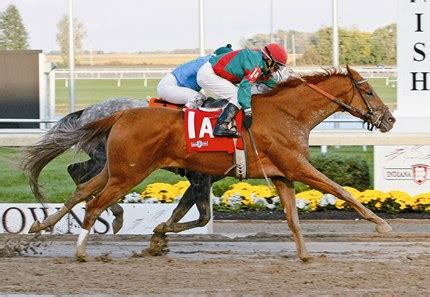 Candy Ride Progeny Racing Post