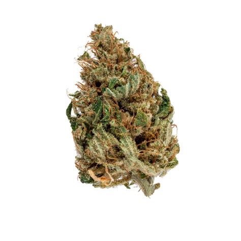 Final Thoughts on the Lemon Drop Cannabis Strain. From its lemony fresh aroma to its energetic high, Lemon Drop has you enthused from the very first puff. Both the flavor and aroma of Lemon Drop make it very clear how this strain came to get its name, reminding you of being a child and being given the candy with the same name as a summery treat.. 
