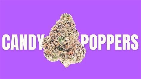 Candy poppers strain. Cotton Candy strain helps with. Stress. 35% of people say it helps with Stress. Anxiety. 31% of people say it helps with Anxiety. Depression. 27% of people say it helps with Depression. This info ... 