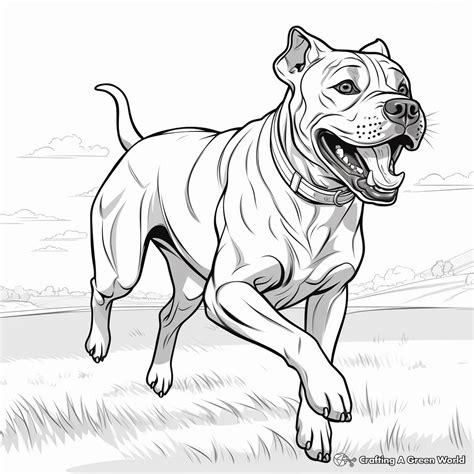 Grown Up Coloring Pages