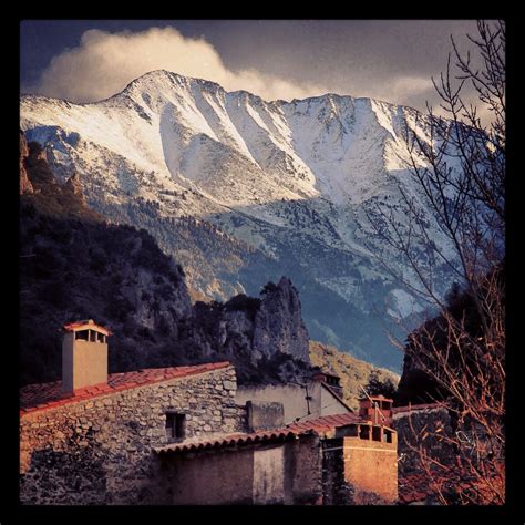 Canigur Halı ve Koltuk Yıkama