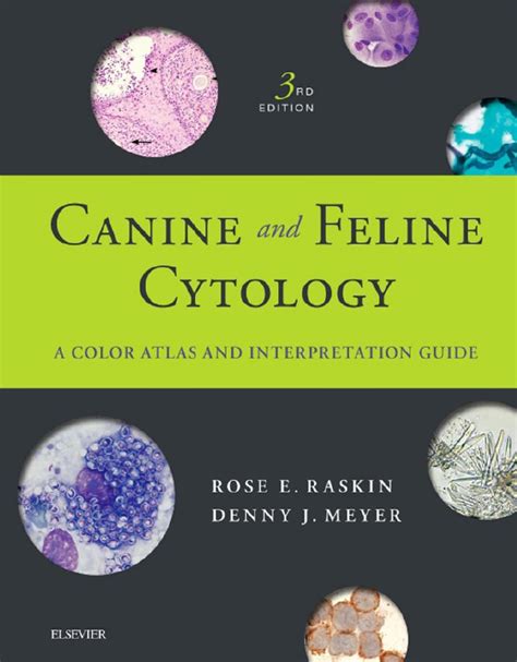 Canine and feline cytology a color atlas and interpretation guide. - Dehydration a basic guide to food drying.