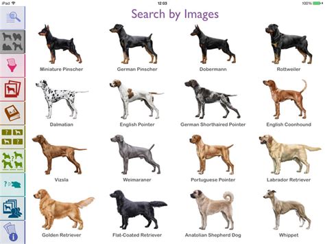 Nov 5, 2021 · The Dog Scanner: Breed Recognition app id