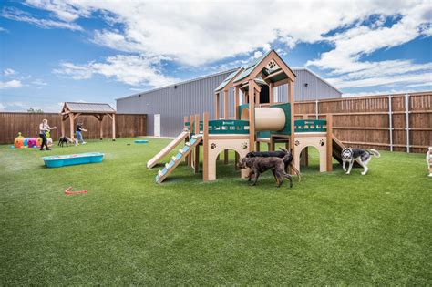 Canine country club amarillo tx. 12 Dog jobs available in Amarillo, TX on Indeed.com. Apply to Pet Groomer, Dog Trainer, Pet Bather and more! ... Canine Country Club Amarillo. Amarillo, TX 79119. 