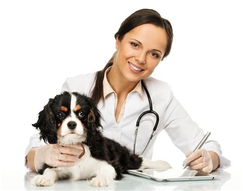 Canine nutritionist. required to maintain good health in normal dogs. Your dog’s unique nutritional requirements will depend on its size, its breed, and its stage in life, among other factors. A better understanding of how dogs use the various nutri-ents in food and how much of them they need can help you choose a healthier diet for your pet. PROTEINS AND AMINO ACIDS 
