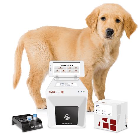 Canine progesterone testing machine! Clinical Vet Level Testing in House!