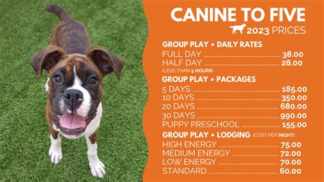 Canine to five. Things To Know About Canine to five. 