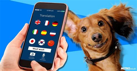 Translate for Animals is an application for Android phones that recognises and transcribes words and phrases that are common to a species, like cats for example. To develop …. 